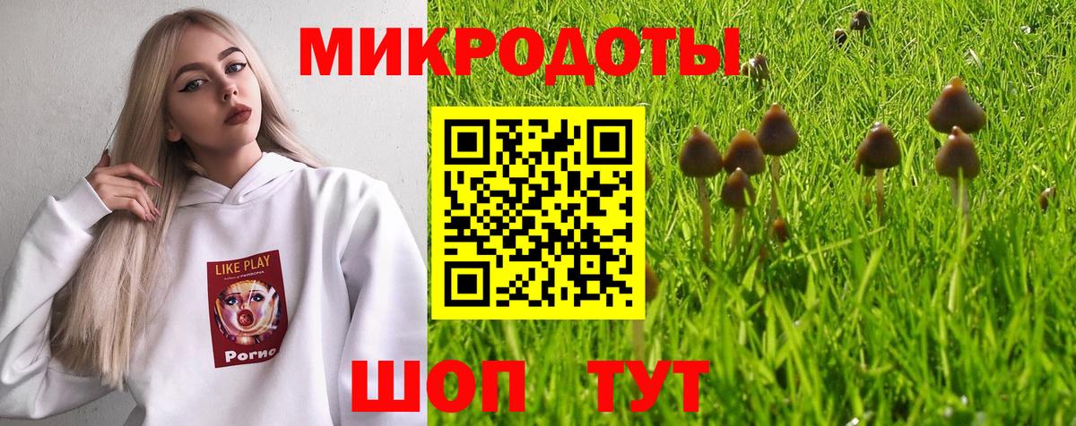 Псилоцибиновые грибы ЛСД Добрянка