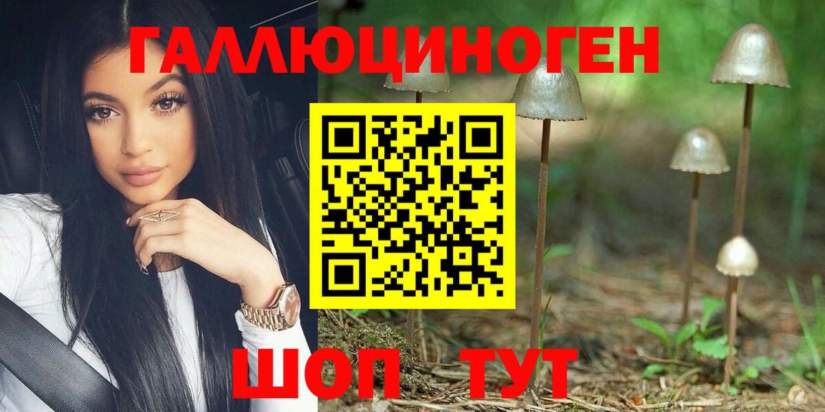 Галлюциногенные грибы MAGIC MUSHROOMS  Вход с VPN  Добрянка 